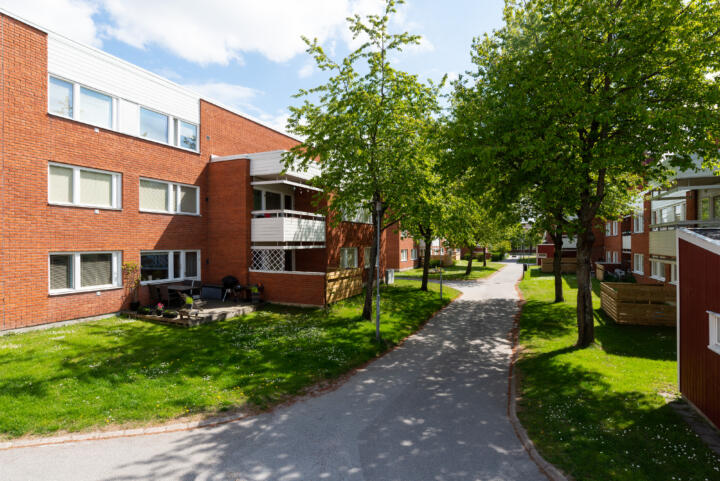Orange tegelhus med grönska runtomkring.