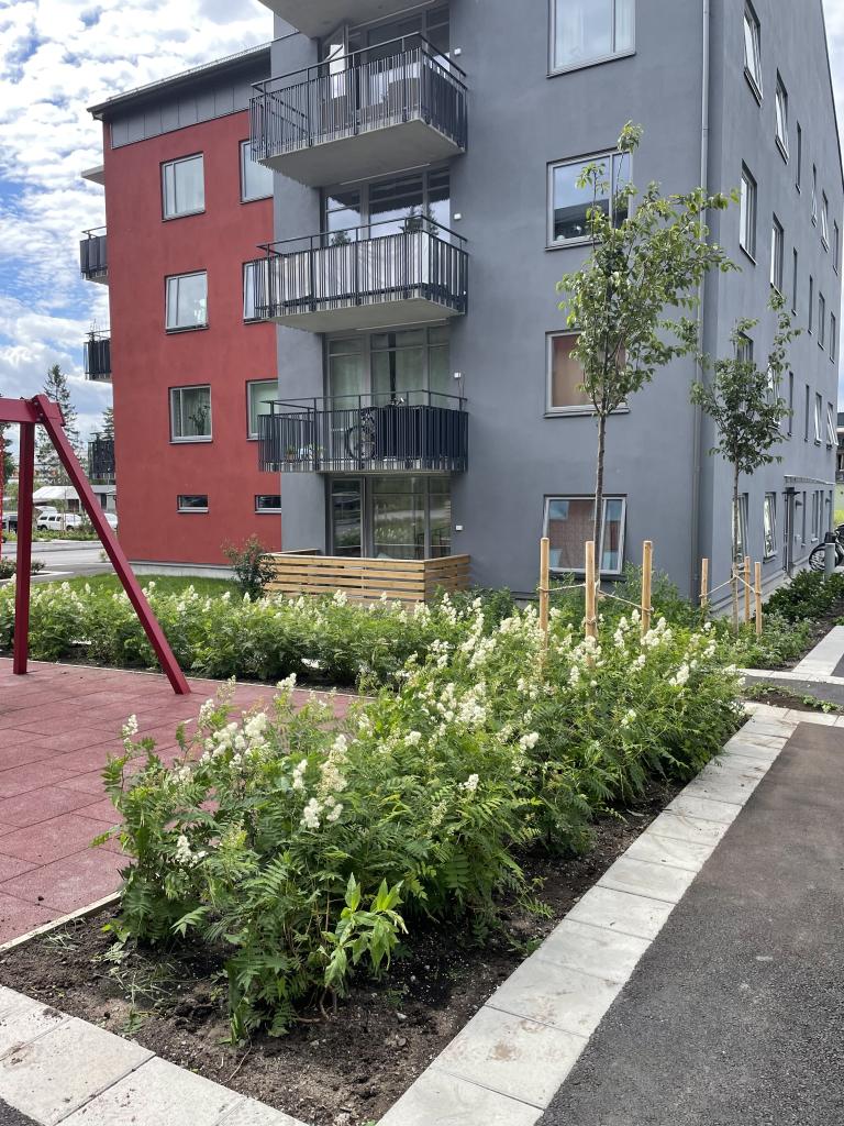 Byggmästarvögen 7 i bakrgunden av vit spirea och röda gungor