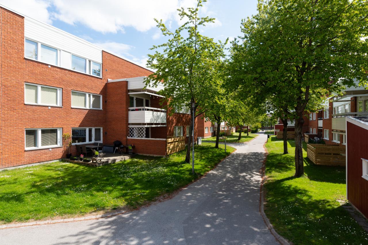 Lummig innergård på Lommarvägen.