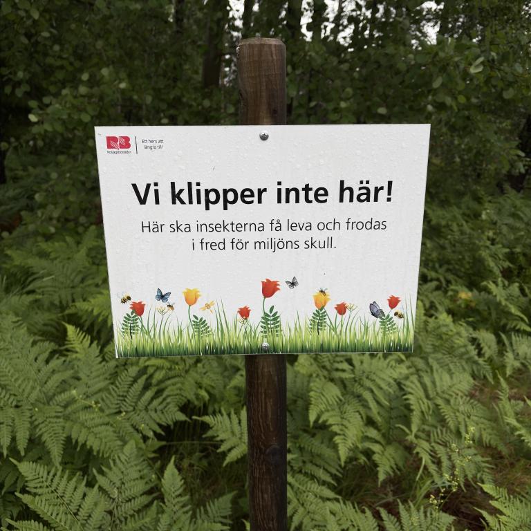 Naturbakgrund med skylten 